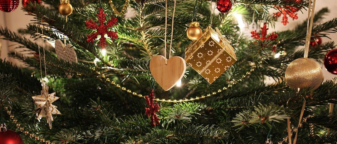 Bild enthält, Christmas, Christmas Decorations, Festival, Christmas Tree, Christmas Tree Ornaments, Lamp, Plant, Fungus