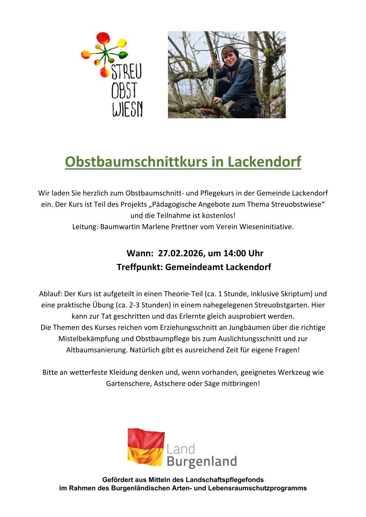 Wir laden Sie herzlich zum Obstbaumschnitt- und Pflegekurs in der Gemeinde Lackendorf ein. Der Kurs ist Teil des Projekts 'Pädagogische Angebote zum Thema Streuobstwiese' und die Teilnahme ist kostenfrei! Leitung: Baumwartin Marlene Prettner vom Verein Wieseninitiative. Wann: 27.02.2026, um 14:00 Uhr Treffpunkt: Gemeindeamt Lackendorf Ablauf: Der Kurs ist aufgeteilt in einen Theorie-Teil (ca. 1 Stunde, inklusive Skriptum) und eine praktische Übung (ca. 2-3 Stunden) in einem nahegelegenen Streuobstgarten. Hier kann zur Tat gegriffen und das Erlernte gleich ausprobiert werden. Die Themen des Kurses reichen vom Erziehungsschnitt an Jungbäumen über die richtige Mistelbekämpfung und Obstbaumpflege bis zum Auslichtungsschnitt und zur Altbaumsanierung. Natürlich gibt es ausreichend Zeit für eigene Fragen! Bitte an wetterfeste Kleidung denken und, wenn vorhanden, geeignetes Werkzeug wie Gartenschere, Astschere oder Säge mitbringen!