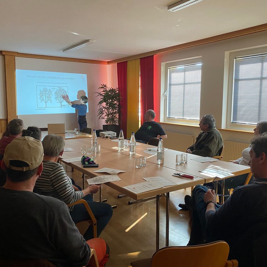 Eine Gruppe von Menschen sitzt um einen Tisch in einem Konferenzraum. Eine Person steht vor einer Projektionsleinwand und erklärt etwas. Der Raum hat Fenster mit Jalousien und eine Topfpflanze.