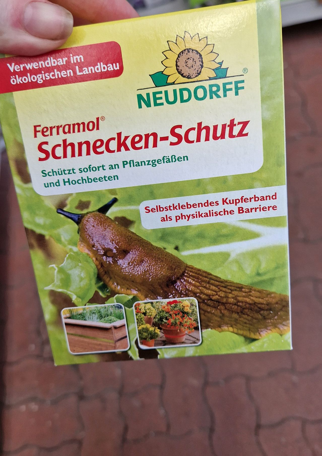 Bild enthält, Advertisement, Poster, Animal, Insect, Invertebrate, Business Card, Text, Footwear, Shoe, Slug