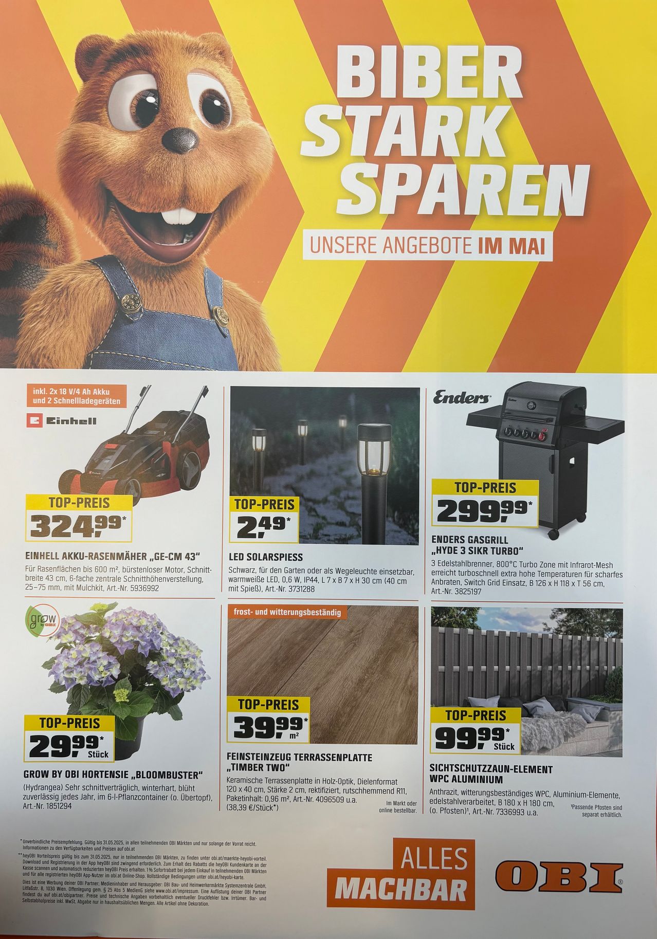 Ein Werbeplakat für Einhell-Produkte zeigt einen Cartoon-Bären-Maskottchen und verschiedene Produkte wie Rasenmäher, Solarleuchten, Grills und Gartenpflanzer. Der obere Bereich hebt Produkte mit Top-Preisen hervor, darunter ein Rasenmäher für 324,99 €, eine Solarleuchte für 24,99 € und ein Gasgrill für 299,99 €.