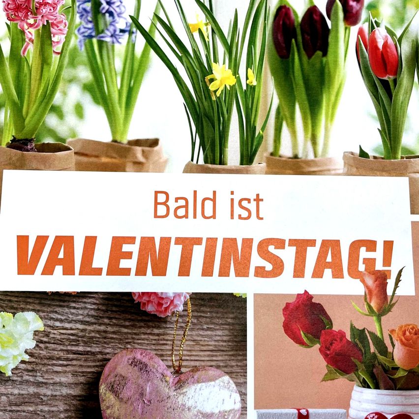 Eine Collage von Blumen in verschiedenen Farben und Größen, darunter pinke, lila und rote Tulpen, gelbe Narzissen und andere Blumen. Der Text Bald ist Valentinstag! ist in Rot auf weißem Hintergrund geschrieben.