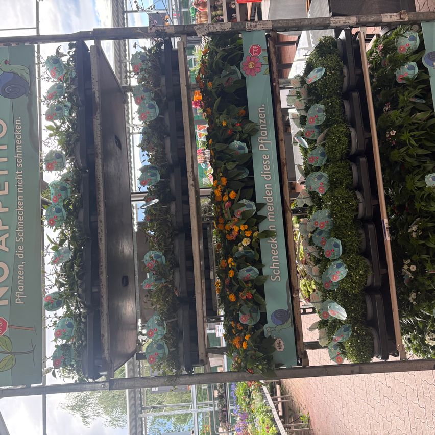 A metal stand displays various potted plants. One plant has a stop sign and a snail. The stand has three sections with plants. The plants have flowers in different colors.
