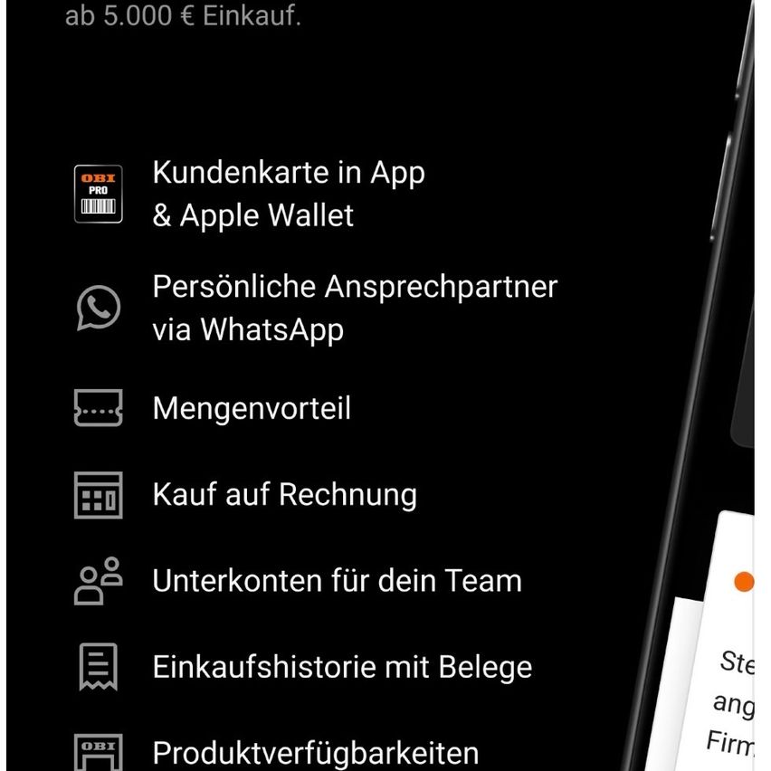 Schwarzer Hintergrund mit weißem Text und Symbolen. 'ab 5.000 € Einkauf' oben. Funktionen umfassen Kundenkarte in App & Apple Wallet, persönlicher Kontakt via WhatsApp, Mengenvorteil, Kauf auf Rechnung, Konten für dein Team, Einkaufshistorie mit Belegen und Produktverfügbarkeit.