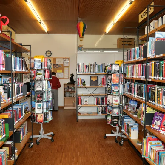 Book, Indoors, Library, Publication, Architecture, Building, Furniture, Shelf, Person, Bookcase