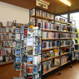 Book, Indoors, Library, Publication, Building, Furniture, Shelf, Bookcase, Person, Shop