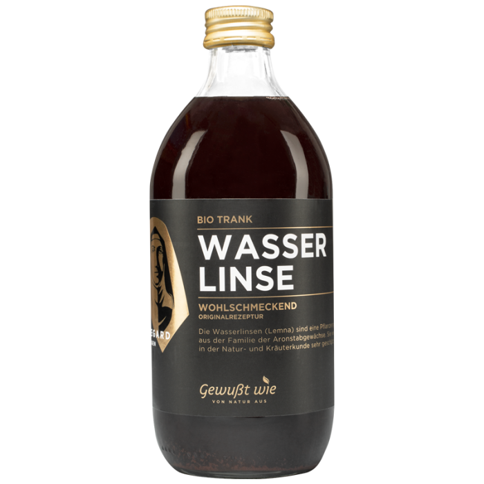 Hildegard von Bingen 