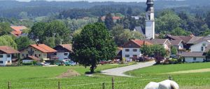Eine ländliche Landschaft mit einem weißen Pferd, das auf einer Wiese grast. Im Hintergrund befinden sich Häuser mit roten Dächern, eine Kirche und ein hügeliges Gelände. Der Himmel ist klar und blau.