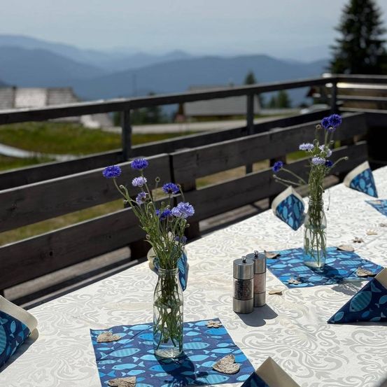 Ein Tisch auf einer Terrasse mit Blick auf Berge, mit zwei Vasen mit blauen Blumen, dekorativen Servietten und Salz- und Pfefferstreuer.