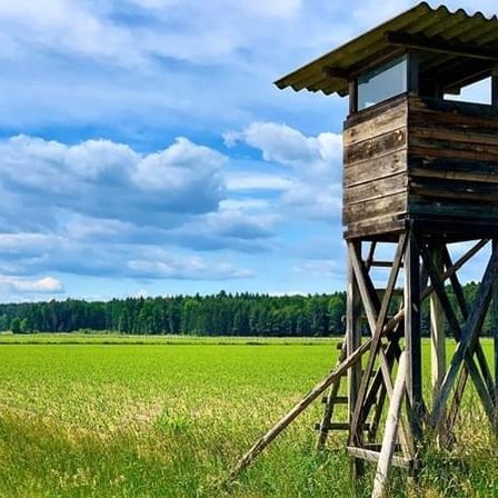 Ein hölzerner Aussichtsturm steht in der Mitte eines weiten grünen Feldes, unter einem bewölkten Himmel mit Bäumen in der Ferne.