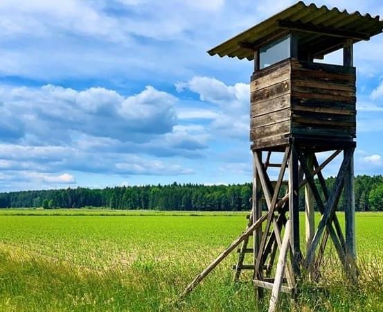 Ein hölzerner Aussichtsturm steht in der Mitte eines weiten grünen Feldes, unter einem bewölkten Himmel mit Bäumen in der Ferne.