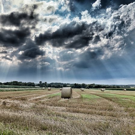 Ein Feld mit verstreuten Heuballen unter einem dramatischen Himmel, durch den Sonnenstrahlen hindurchscheinen.