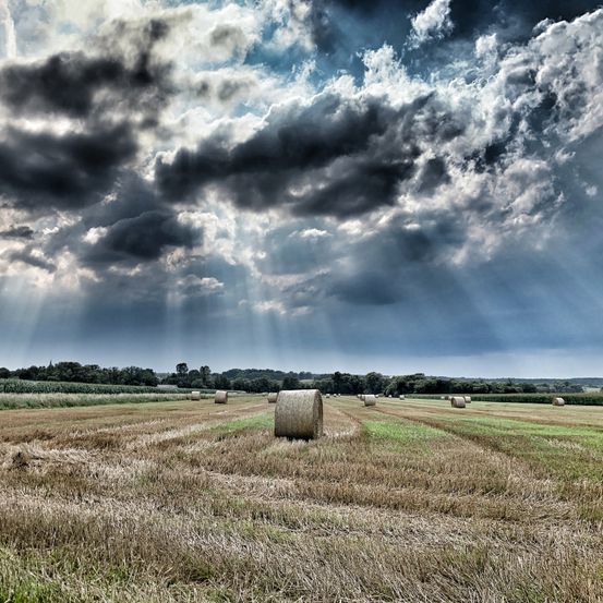 Ein Feld mit verstreuten Heuballen unter einem dramatischen Himmel, durch den Sonnenstrahlen hindurchscheinen.