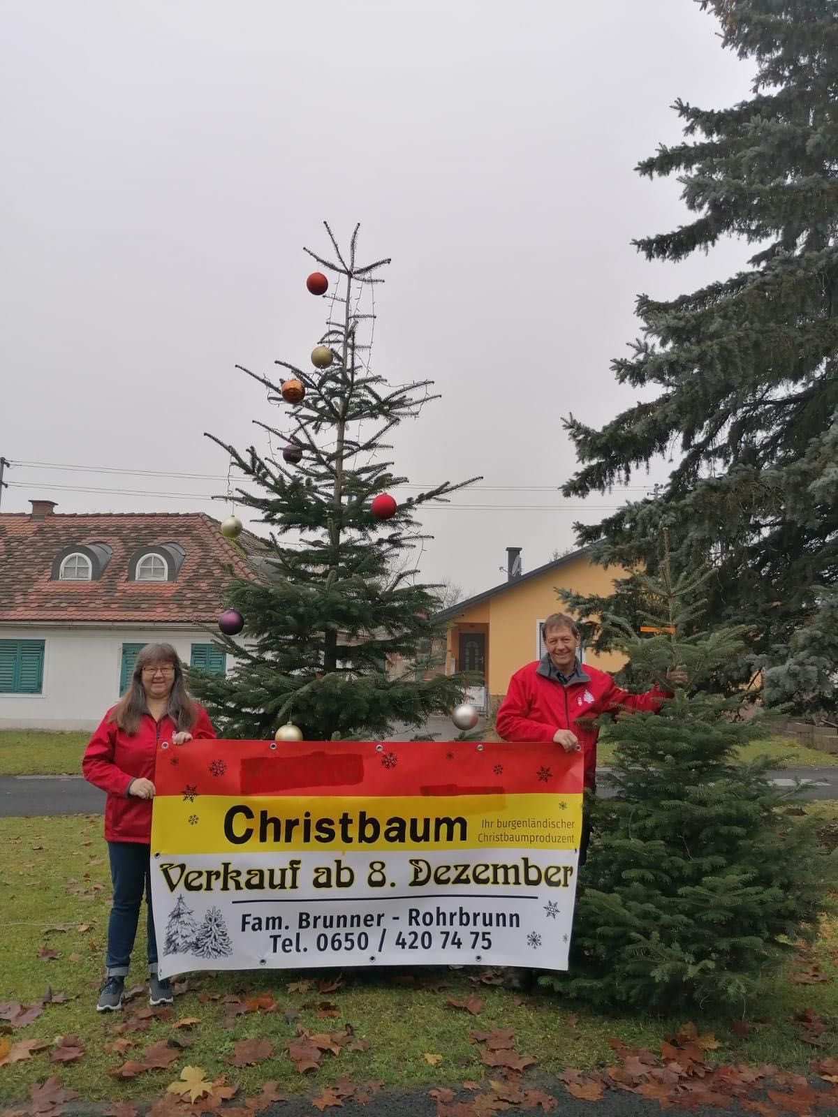 Bild enthält, Tree, Conifer, Christmas, Christmas Decorations, Festival, Fir, Pine, Adult, Person, Woman