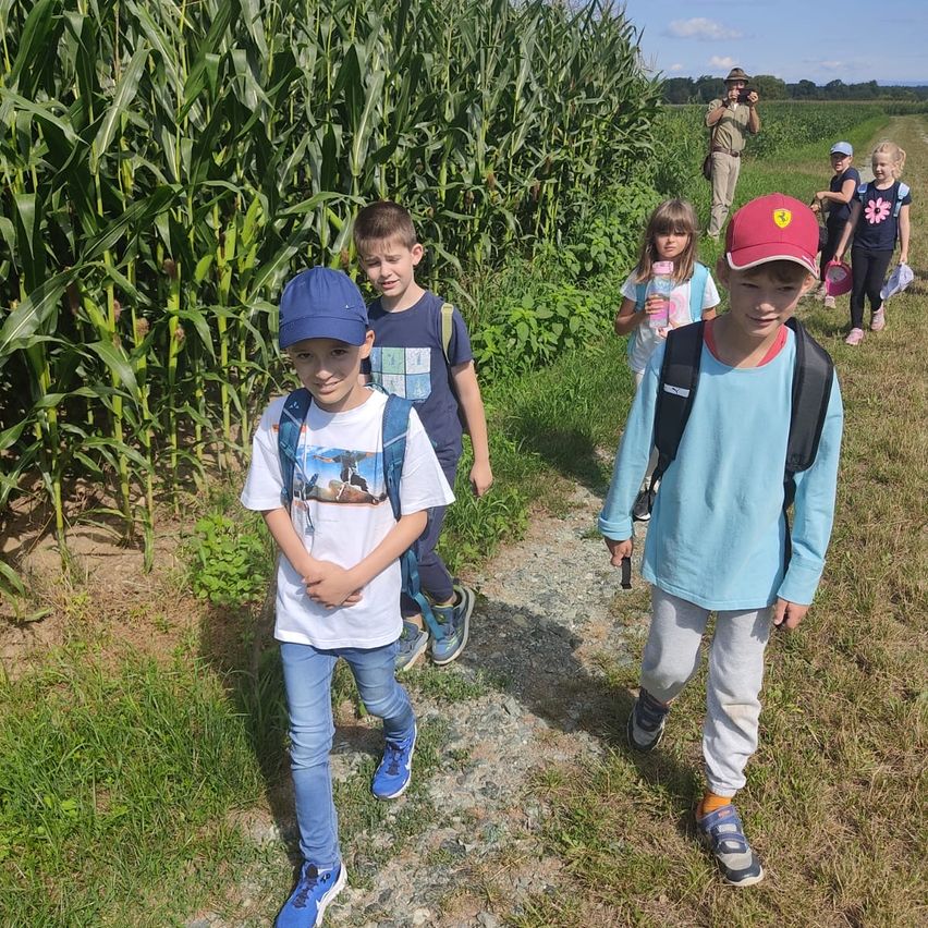 Eine Gruppe von Kindern geht durch ein Maisfeld. Ein Kind trägt einen roten Hut, andere tragen Mützen. Sie werden von einem Mann in einem Hut begleitet, der eine Kamera hält.