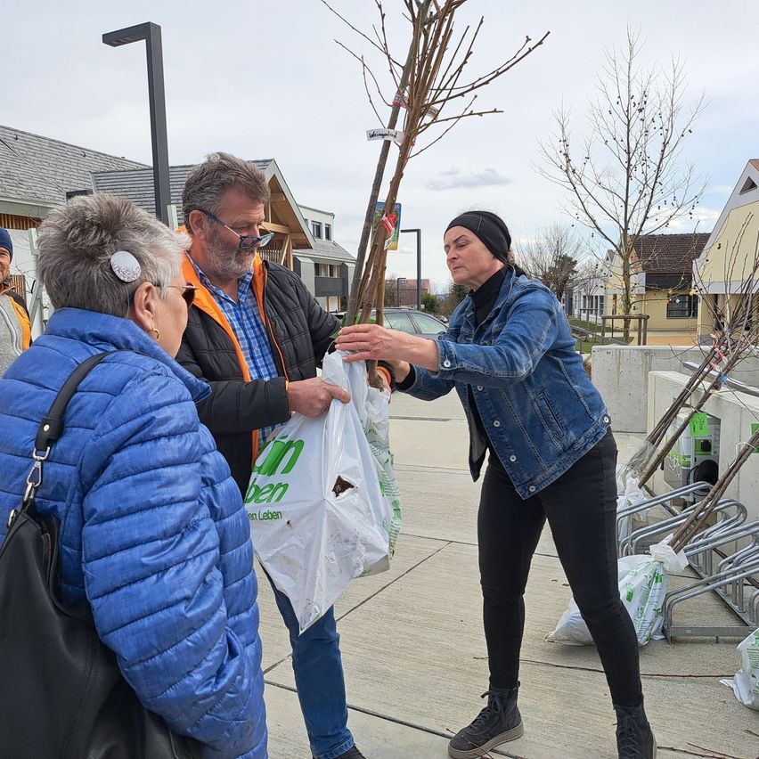 A woman in a denim jacket holds a tree sapling while a man in glasses and a blue jacket assists. They are standing on a concrete sidewalk with a plastic bag. Nearby, houses are visible, and trees are in pots.