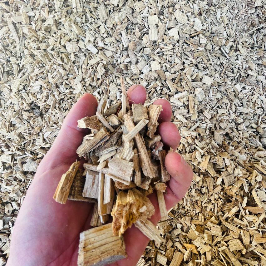 Eine Hand hält eine Handvoll Holzspäne vor einem Hintergrund aus ähnlichem Material. Die Holzspäne sind hellbraun und haben verschiedene Größen und Formen.