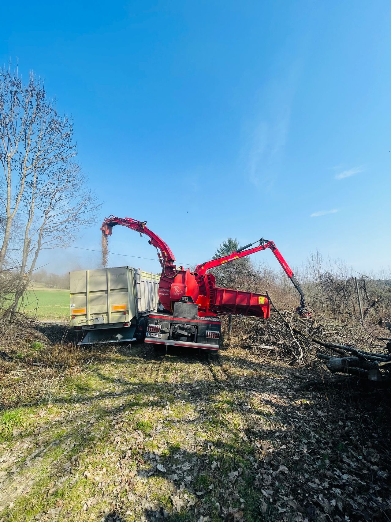 Eine rote Baumfällmaschine schneidet einen Baum in einem Grasgebiet. Der Baum ist von Ästen umgeben. Ein Lastwagen ist neben der Maschine geparkt. Der Himmel ist klar mit einigen Wolken.