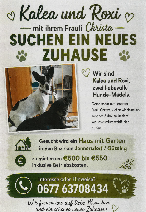 Anzeige für ein neues Zuhause für Kalea und Roxi, zwei Hunde, mit ihrer Besitzerin Christa. Sie suchen ein Haus mit Garten in der Gegend von Jennersdorf/Gussing, mit einer Miete von 500 bis 550 Euro, einschließlich Betriebskosten. Kontaktnummer angegeben.