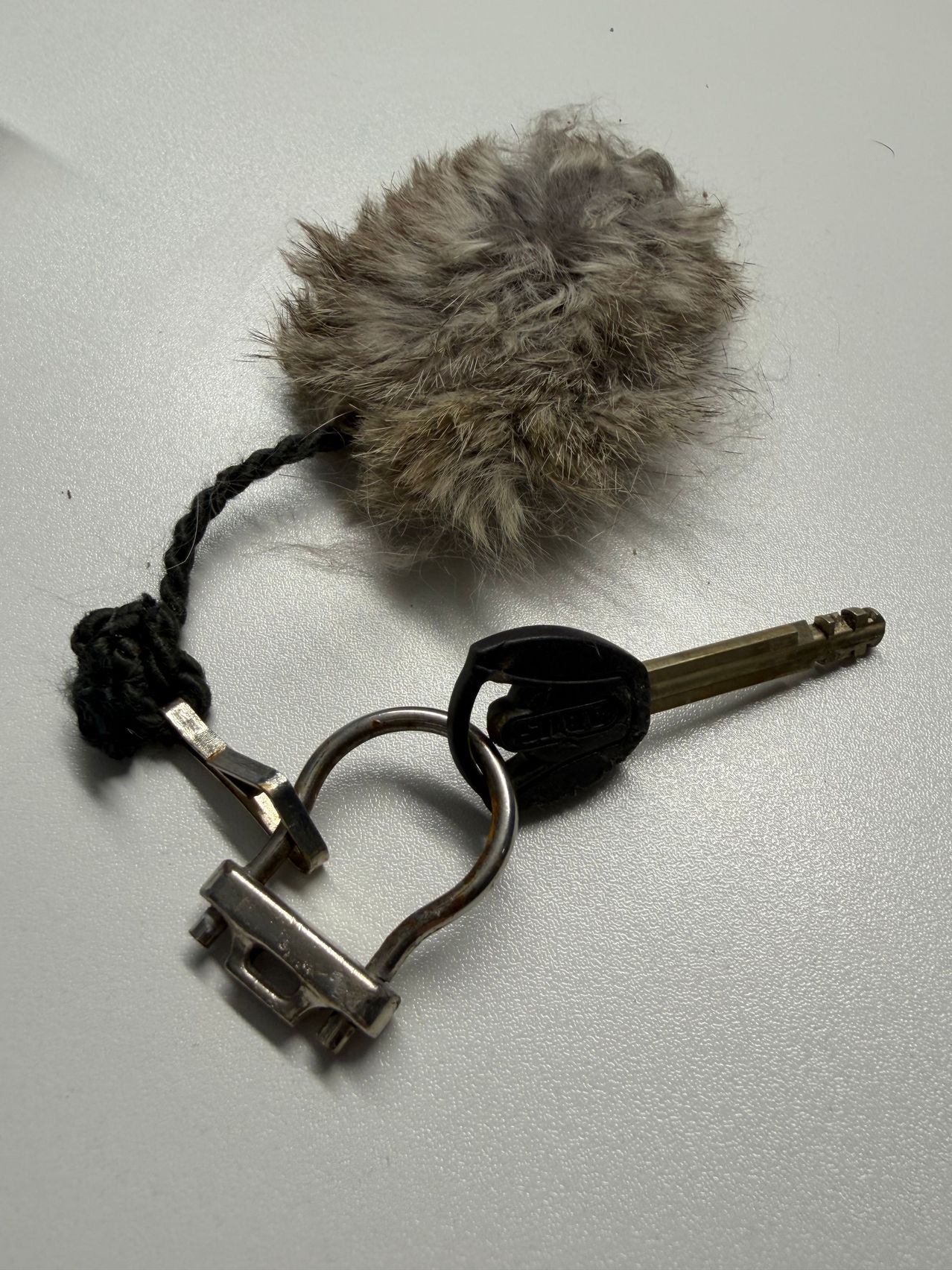 Ein Schlüsselanhänger mit einem flauschigen Pom-Pom und einer schwarzen Schnur, befestigt an einem Metallschlüsselring.