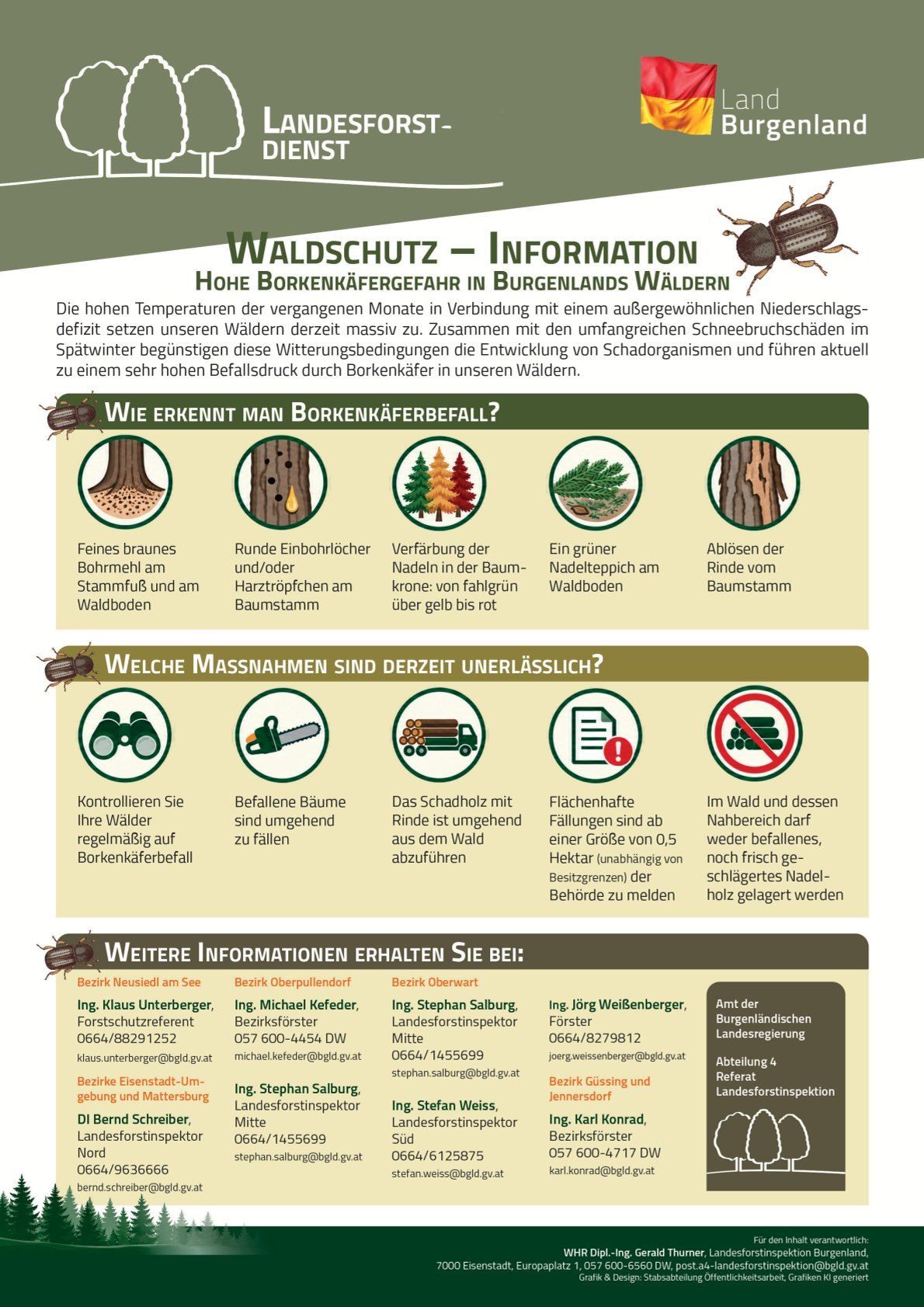 Ein Infografik über den Borkenkäferbefall in den Wäldern von Burgenland, mit Symptomen, Präventionsmaßnahmen und Kontaktdaten von Forstexperten.