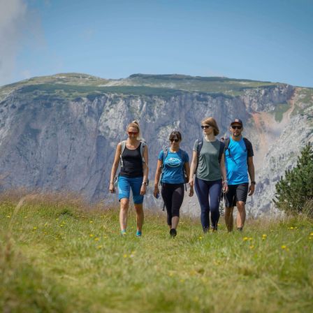 Vier Personen, zwei Frauen und zwei Männer, wandern auf einer grasbewachsenen Anhöhe unter einem blauen Himmel mit Bergen im Hintergrund.