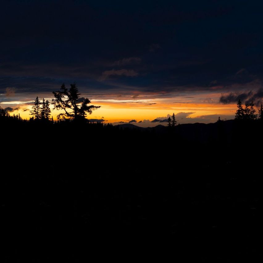 A silhouetted forest with trees against a vibrant sunset sky, casting a warm glow over the landscape.