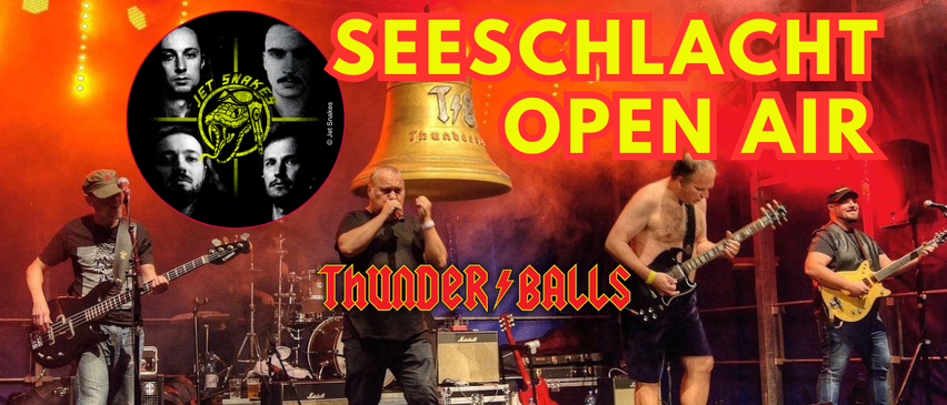 Bild enthält, Concert, Person, Group Performance, Music Band, Musical Instrument, Adult, Male, Man, Guitar, Face