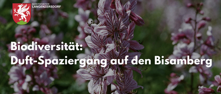 Nahaufnahme einer lila Blume mit weißen Streifen. Die Blume ist Teil eines größeren Blumenarrangements mit unscharrem grünem Hintergrund.