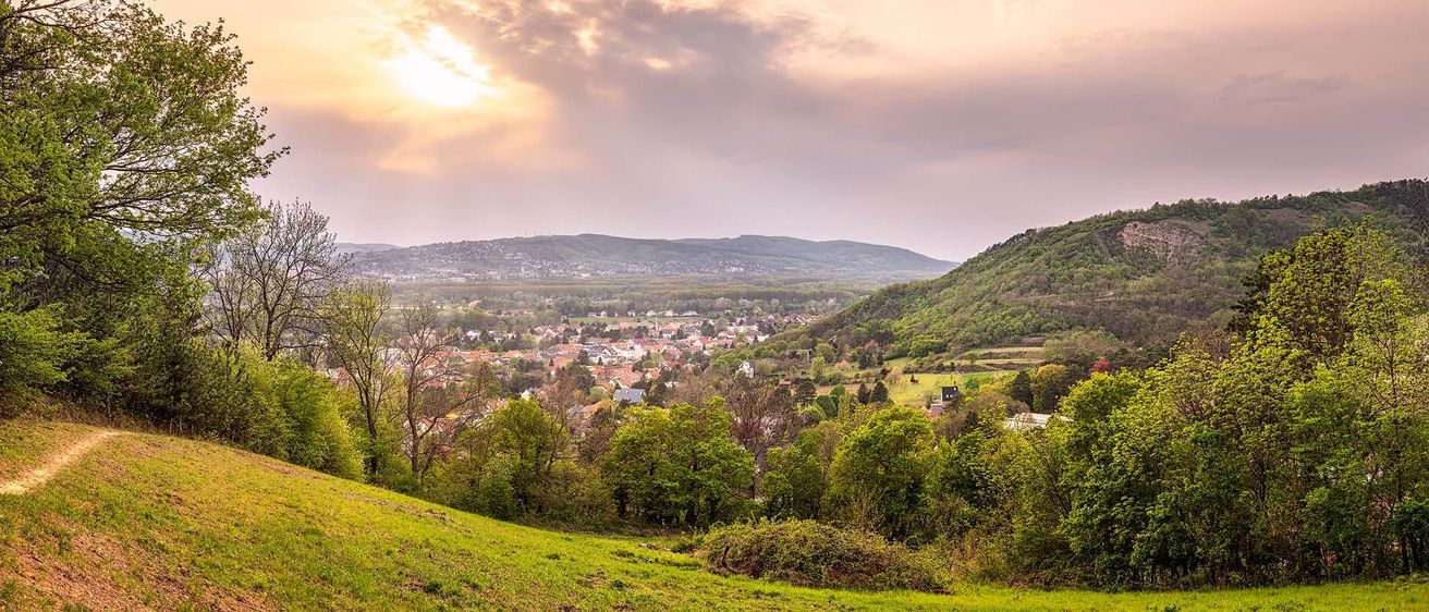 Bild enthält, Nature, Outdoors, Scenery, Slope, Vegetation, Landscape, Tree, Woodland, Grass, Hill