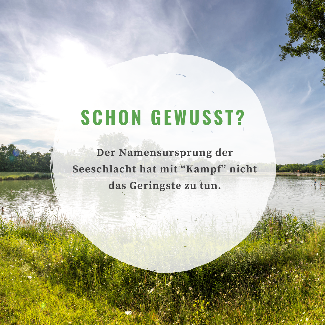 Bild enthält, Nature, Outdoors, Pond, Water, Land, Grass, Vegetation, Advertisement, Scenery, Grassland