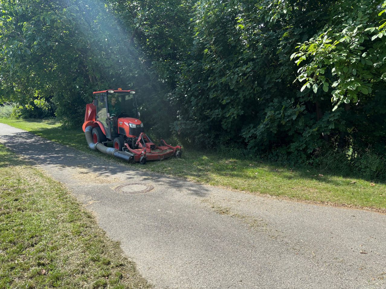 Ein roter Traktor steht auf einem Pfad in der Nähe eines grünen Grasbereichs, mit Bäumen und Sonnenlicht im Hintergrund.