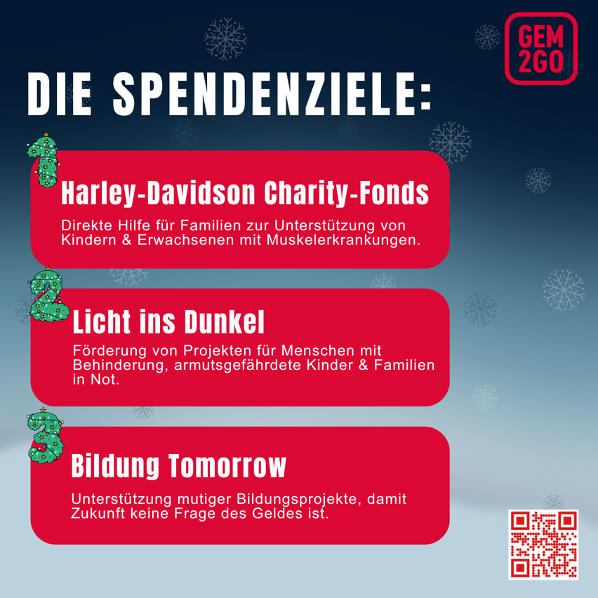 Ein Werbeposter mit blauem Hintergrund und Schneeflocken. Drei Ausgabeziele sind aufgelistet: Harley-Davidson Charity-Fonds, Licht ins Dunkel und Bildung Tomorrow.