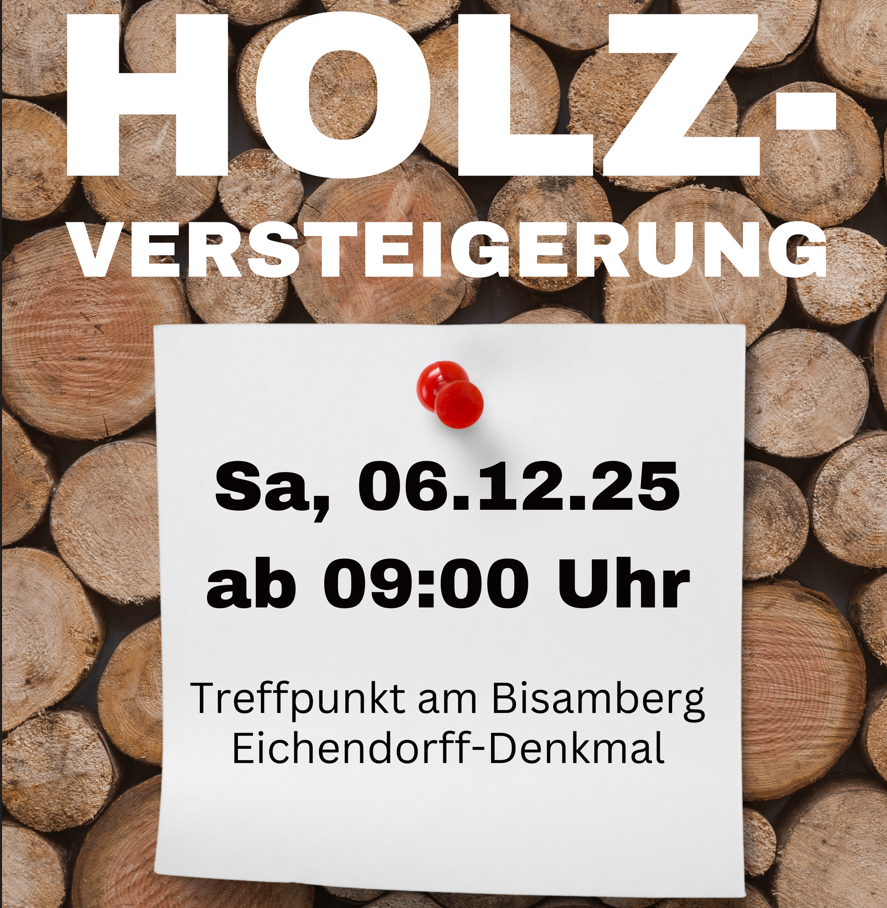 Der Plakat bewirbt eine Holzauktion am Samstag, 6. Dezember, ab 09:00 Uhr. Der Treffpunkt ist am Bisamberg Eichendor-Denkmal. Der Hintergrund zeigt gestapelte Holzstämme.