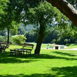 Ein Park mit mehreren Picknicktischen und Bänken unter Bäumen, eingebettet in eine üppige grüne Landschaft mit Hügeln in der Ferne.