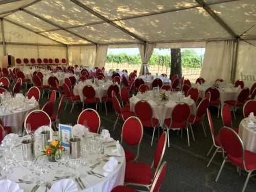Ein großes Zelt beherbergt eine formelle Essensveranstaltung mit zahlreichen Tischen, die jeweils mit Weingläsern, Besteck und Blumen bestückt sind. Rote Stühle sind ordentlich um die Tische herum angeordnet. Das Zelt ist auf einer Seite offen und bietet einen Blick auf ein Weingut.