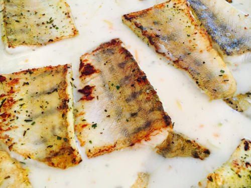 Nahaufnahme von mehreren Stücken Fischfilets, gekocht in einer cremigen Sauce mit Kräutern auf einem weißen Teller.