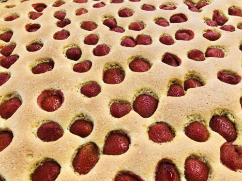 Eine Nahaufnahme eines mit Erdbeeren gefüllten Kuchens mit einem Rastermuster auf seiner Oberfläche. Jede Erdbeere ist ordentlich in einem kleinen Loch im Kuchen platziert.