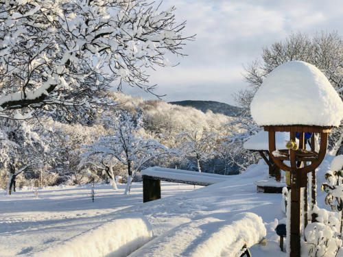 Eine verschneite Landschaft mit Bäumen und einem Schnee bedeckten Vogelhäuschen. Die Bäume sind kahl, und eine Bank ist ebenfalls schneebedeckt. Der Boden ist mit Schnee bedeckt, und der Himmel ist bewölkt.