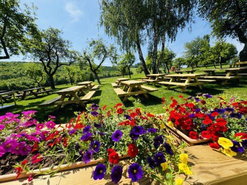 Eine Außensitzfläche mit Picknicktischen und Bänken, umgeben von bunten Blumen und üppiger Begrünung, unter einem klaren blauen Himmel.