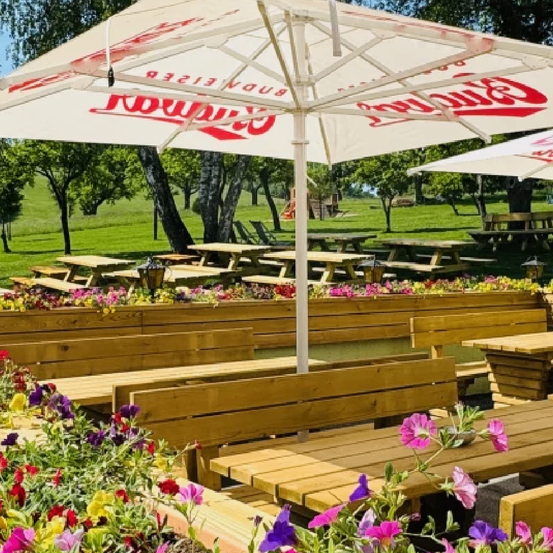 Bild enthält, Wood, Interior Design, Hardwood, Stained Wood, Grass, Patio Umbrella, Outdoors, Nature, Potted Plant, Park