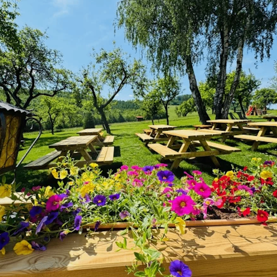 Bild enthält, Grass, Nature, Outdoors, Park, Potted Plant, Scenery, Garden, Planter, Pottery, Vegetation