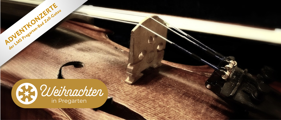 A close-up of a violin's strings and bridge. The violin has a brown wooden body with strings and a brown wooden bridge. The image has text in German.