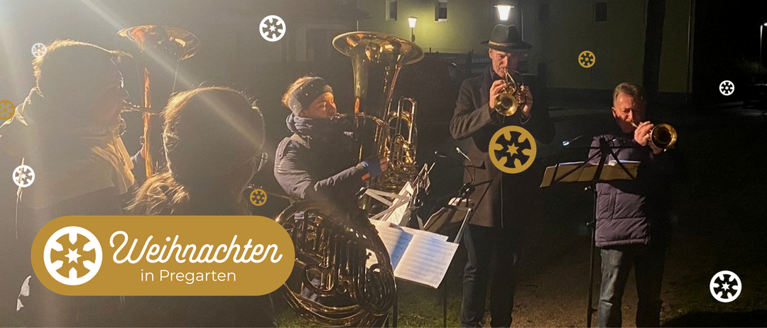 Bild enthält, Group Performance, Music Band, Musical Instrument, Person, Adult, Male, Man, Horn, Tuba, Face