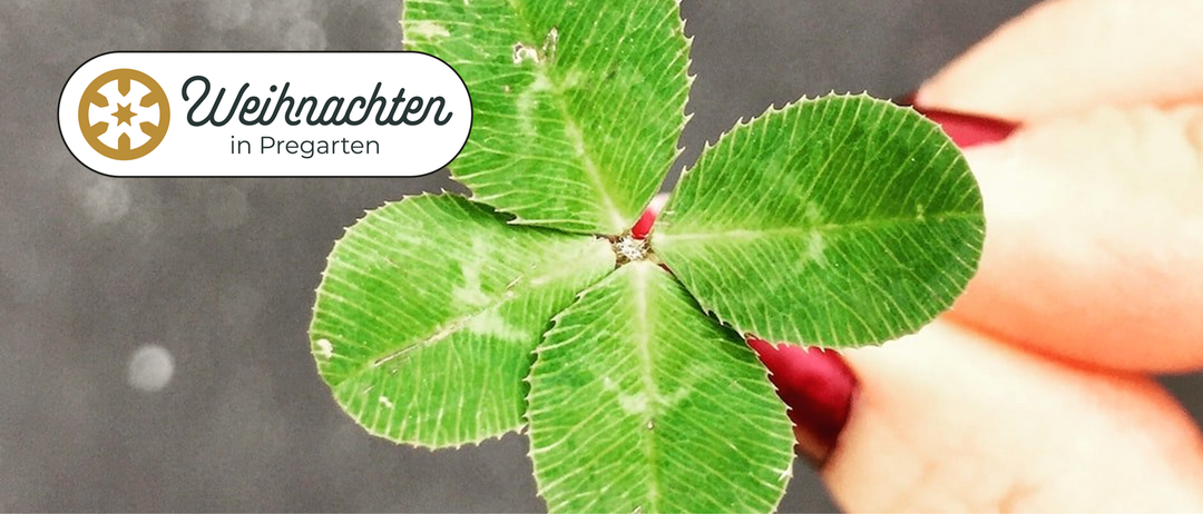 Bild enthält, Leaf, Plant, Flower, Petal