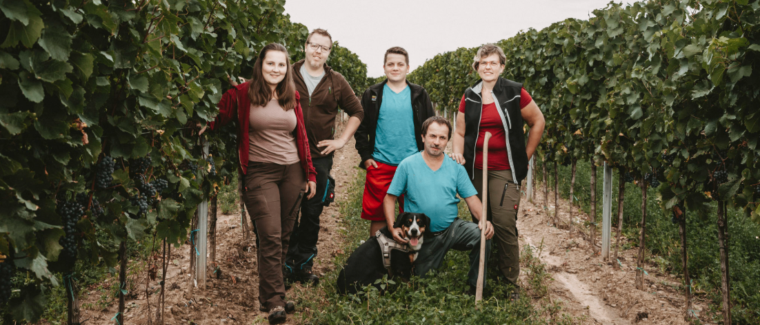 Eine Gruppe von Menschen in einem Weinberg mit einem Hund. Sie stehen und hocken im Vordergrund mit Pflanzen und Weinreben im Hintergrund.