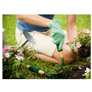 v1_migrated_image_42613025