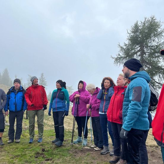 Eine Gruppe von Wanderern, gekleidet in bunte Jacken und mit Trekkingstöcken, steht auf einem Grashang, mit einem hohen Baum dahinter und einem bewölkten Himmel darüber.