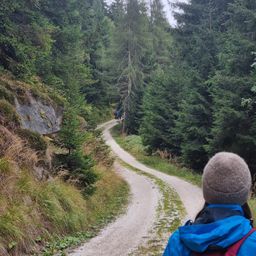 Ein Wanderer in einer blauen Jacke und einer grauen Mütze folgt einem Feldweg im Wald. Eine Gruppe von Menschen geht vor ihm auf dem Weg, umgeben von hohen Bäumen.