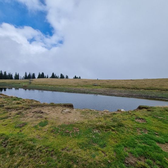 Eine ruhige Szene eines Hügels mit einem kleinen Teich und einer Gruppe von Kiefern im Hintergrund. Der Himmel ist bewölkt.